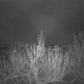 Webcam_20201204-060000