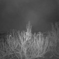 Webcam_20201204-061500