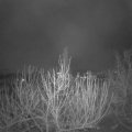 Webcam_20201204-063000