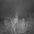 Webcam_20201204-070000