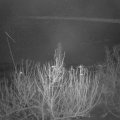 Webcam_20201204-073000