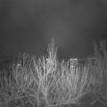 Webcam_20201204-074500