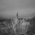 Webcam_20201204-180000