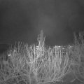 Webcam_20201204-190000