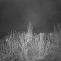 Webcam_20201204-193000