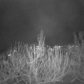 Webcam_20201204-203000