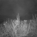 Webcam_20201204-220000