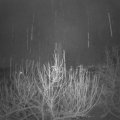 Webcam_20201205-050000