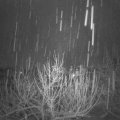 Webcam_20201205-051500