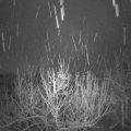 Webcam_20201205-053000
