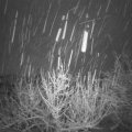 Webcam_20201205-060000