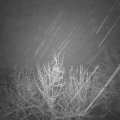 Webcam_20201205-063000