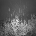 Webcam_20201205-070000