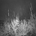 Webcam_20201205-073000