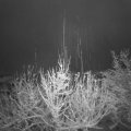 Webcam_20201205-080000