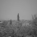 Webcam_20201205-084500