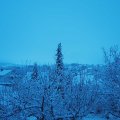 Webcam_20201205-093000