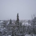 Webcam_20201205-111500