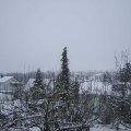 Webcam_20201205-120000