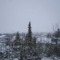 Webcam_20201205-121500
