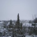Webcam_20201205-123000