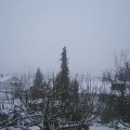 Webcam_20201205-130000