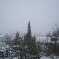 Webcam_20201205-131500