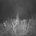 Webcam_20201205-191500