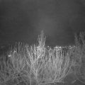 Webcam_20201205-200000