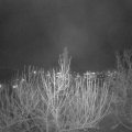 Webcam_20201205-204500