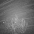 Webcam_20201206-203000