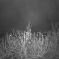 Webcam_20201207-050000