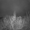 Webcam_20201207-071500