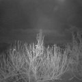 Webcam_20201208-050000