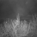 Webcam_20201208-051500