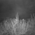 Webcam_20201208-070000
