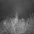 Webcam_20201208-073000