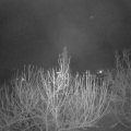 Webcam_20201209-051500