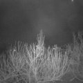Webcam_20201209-060000