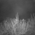 Webcam_20201209-070000