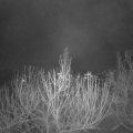 Webcam_20201209-073000