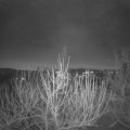 Webcam_20201209-080000