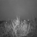 Webcam_20201210-083000