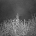 Webcam_20201211-050000
