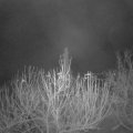 Webcam_20201211-070000