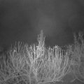 Webcam_20201211-073000