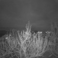 Webcam_20201214-181500