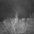 Webcam_20201214-190000