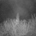 Webcam_20201216-060000