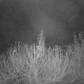 Webcam_20201216-061500